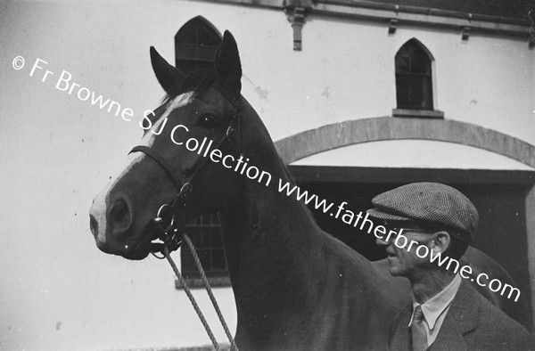 KILLEEN CASTLE   LORD FINGAL WITH HORSE